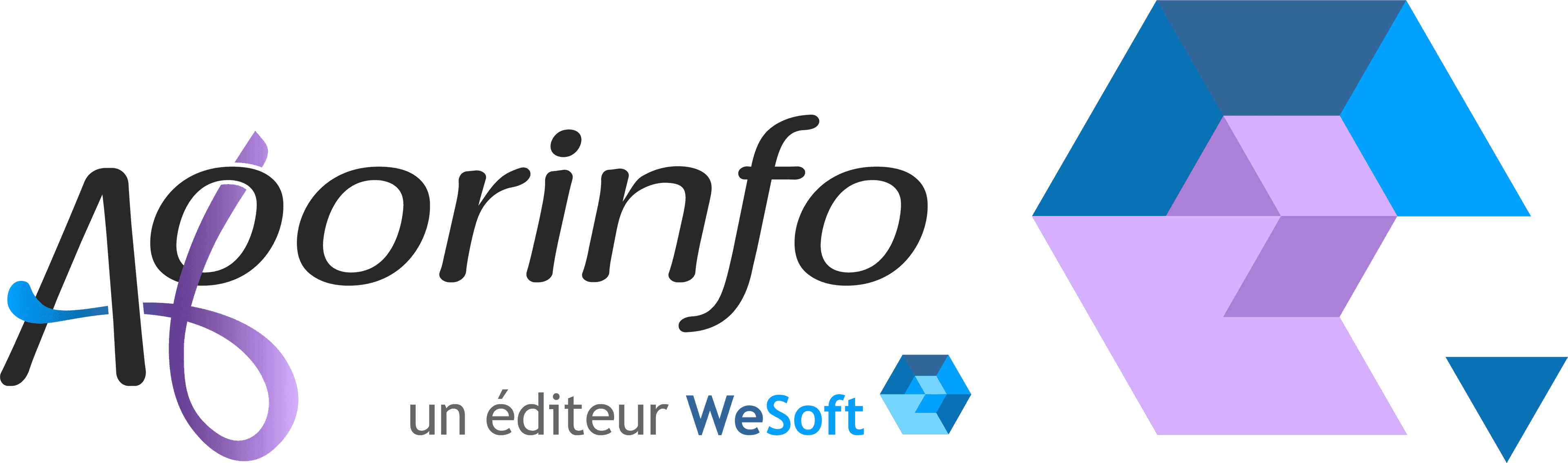 Logo d'Agorinfo avec un hexagone en violet et bleu à côté.