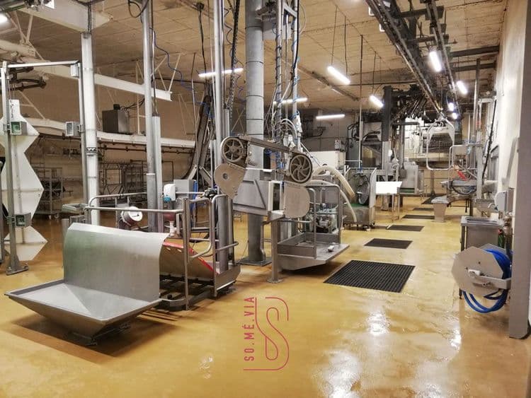 Vue en profondeur d'un abattoir vide et propre dans l'entreprise Somévia