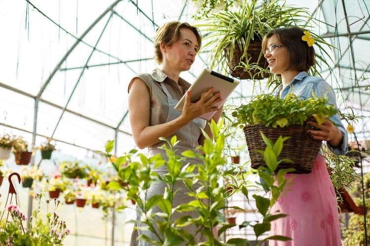 plan en contre-plongée de deux femmes dans une serre avec énormément de plantes. L'une porte une grosse plante et l'autre parle avec un porte-bloc dans les mains.