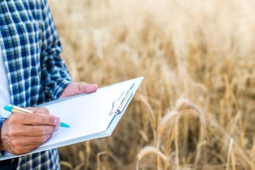 Homme dans un champ de blé prenant des notes sur un porte-bloc A4