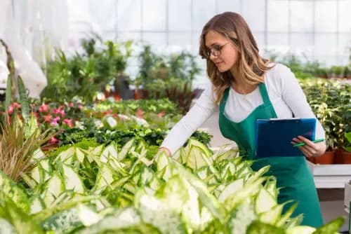 Femme dans une jardinerie qui prends soin des plantes avec une pochette dans la main.