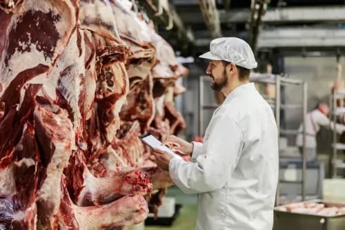 Solution Logiviande Atelier de découpe | Agorinfo